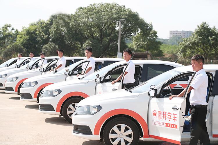 多元出行服务公司的业务布局与核心竞争力